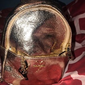 Victoria secret bag